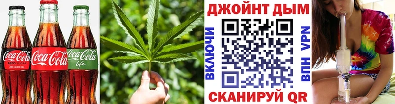 дарк нет телеграм  Бикин  Cannafood конопля  где найти  