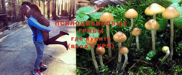 эйфоретик Баксан