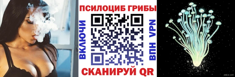где купить наркотик Бикин Галлюциногенные грибы GOLDEN TEACHER